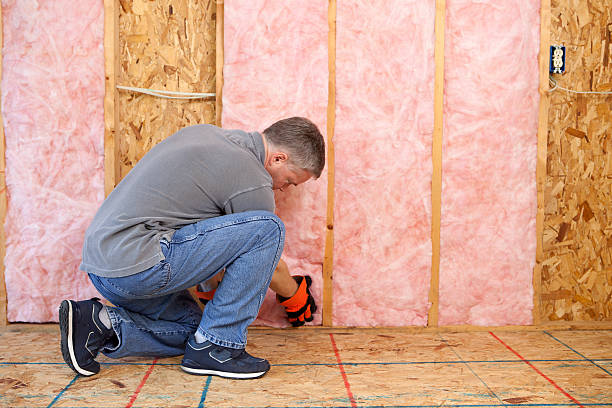 Best Insulation Contractors for Homes  in Kemmerer, WY