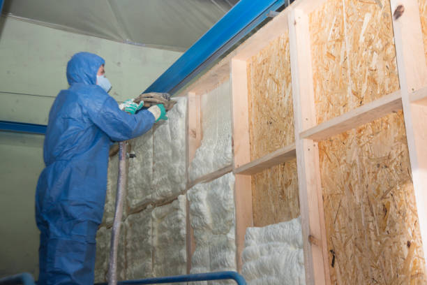 Best Insulation for New Construction  in Kemmerer, WY